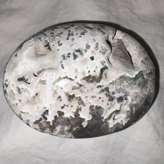 Moss Agate Palm Stone